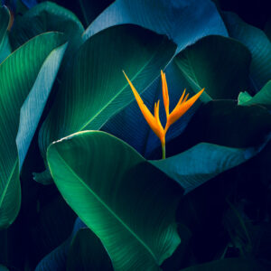 Kyndryl IT Banking Powerhouse